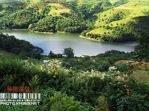 按此在新窗口浏览图片